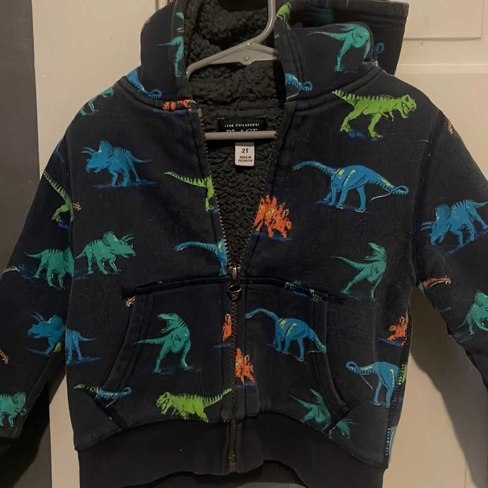 The children’s place Sherpa lined dino hoody
